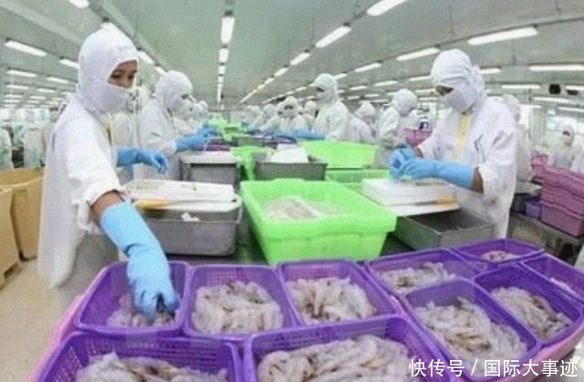印度訂單接到手軟，16萬噸水產品運往中國，鄰國喊話 勿存偏心